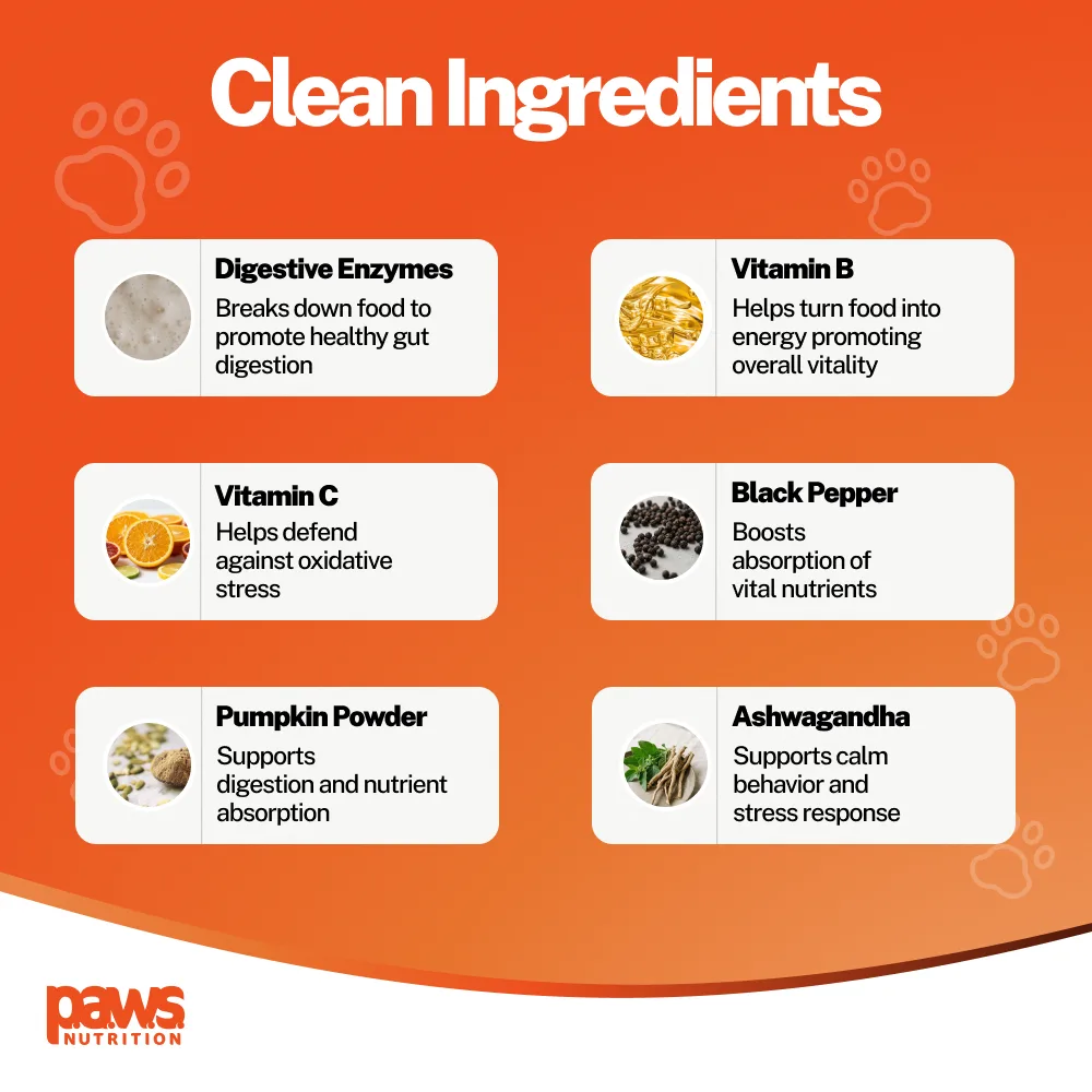 Daily Multivitamin — Clean Ingredients